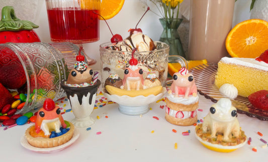 Paint Your Own Dessert Frog